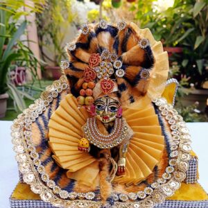 Laddu Gopal Dress For Sawan