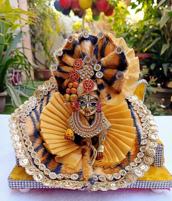 Laddu Gopal Dress For Sawan