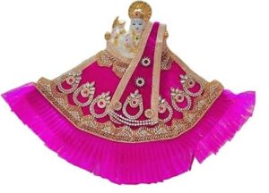 Premanjali Durga Ji Vastra – Delicate Pink Net with Booty & Frill Work