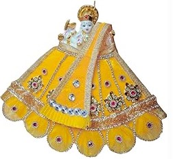 Premanjali Durga Ji Vastra – Yellow Net Dress