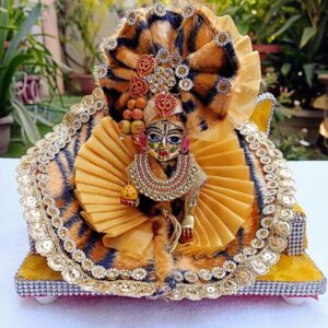 Mahashivratri Special Laddu Gopal Dress