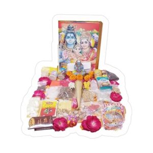 Shiv Rudrabhishek Poojan Samagri Kit